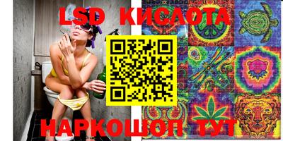 прущие грибы Ипатово