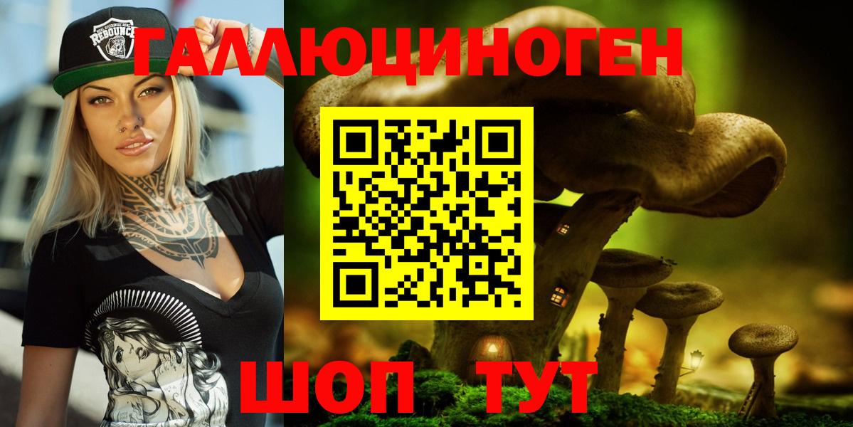 Галлюциногенные грибы Psilocybine cubensis Курчатов